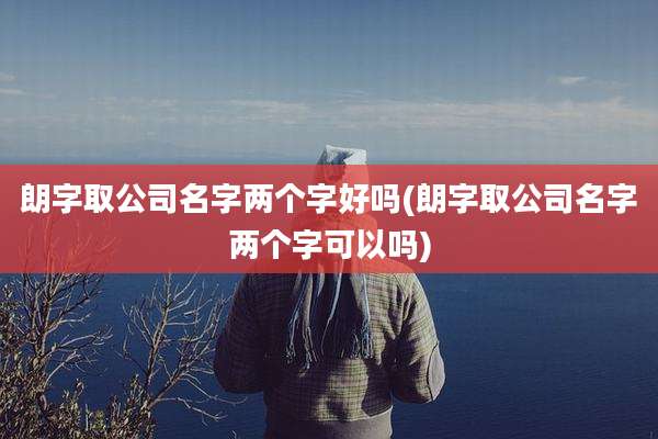 朗字取公司名字两个字好吗(朗字取公司名字两个字可以吗)