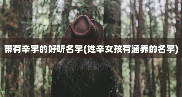 带有辛字的好听名字(姓辛女孩有涵养的名字)