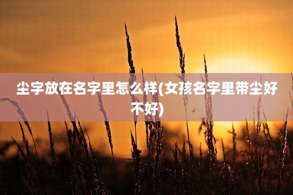 尘字放在名字里怎么样(女孩名字里带尘好不好)