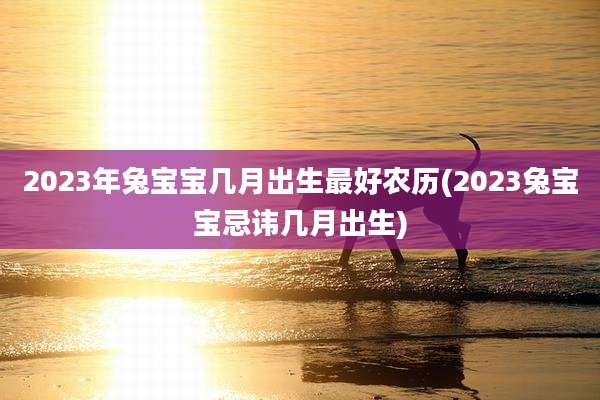 2023年兔宝宝几月出生最好农历(2023兔宝宝忌讳几月出生)