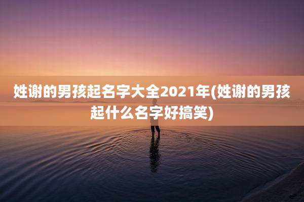 姓谢的男孩起名字大全2021年(姓谢的男孩起什么名字好搞笑)
