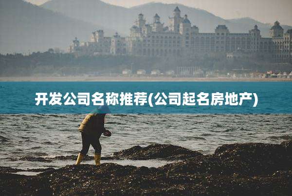 开发公司名称推荐(公司起名房地产)