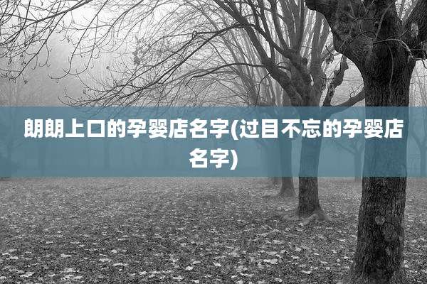 朗朗上口的孕婴店名字(过目不忘的孕婴店名字)