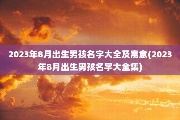 2023年8月出生男孩名字大全及寓意(2023年8月出生男孩名字大全集)