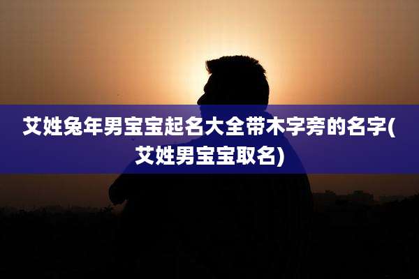艾姓兔年男宝宝起名大全带木字旁的名字(艾姓男宝宝取名)