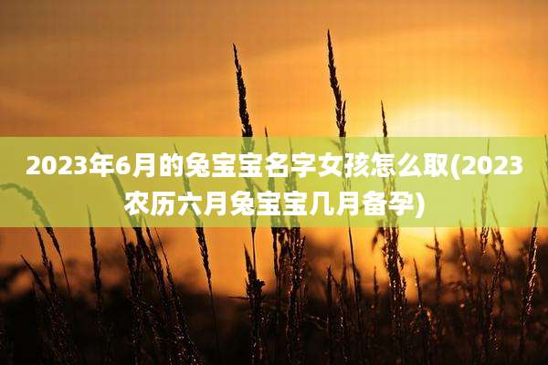 2023年6月的兔宝宝名字女孩怎么取(2023农历六月兔宝宝几月备孕)