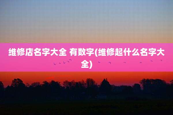 维修店名字大全 有数字(维修起什么名字大全)