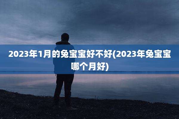 2023年1月的兔宝宝好不好(2023年兔宝宝哪个月好)