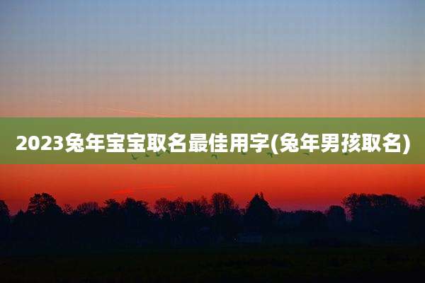 2023兔年宝宝取名最佳用字(兔年男孩取名)