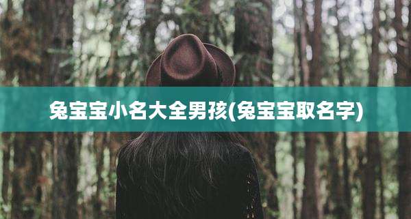 兔宝宝小名大全男孩(兔宝宝取名字)