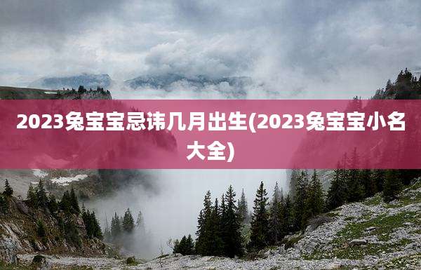 2023兔宝宝忌讳几月出生(2023兔宝宝小名大全)