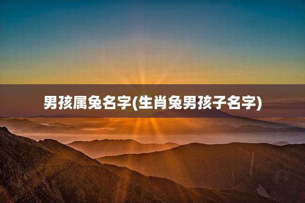 男孩属兔名字(生肖兔男孩子名字)