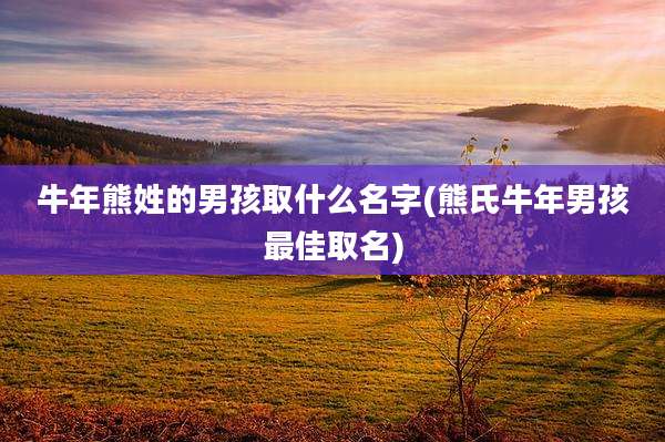 牛年熊姓的男孩取什么名字(熊氏牛年男孩最佳取名)