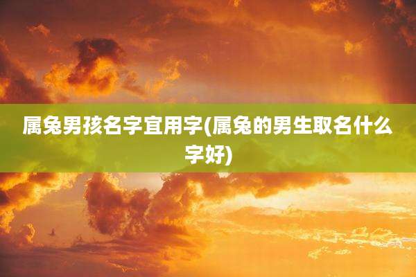 属兔男孩名字宜用字(属兔的男生取名什么字好)