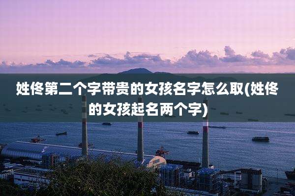 姓佟第二个字带贵的女孩名字怎么取(姓佟的女孩起名两个字)