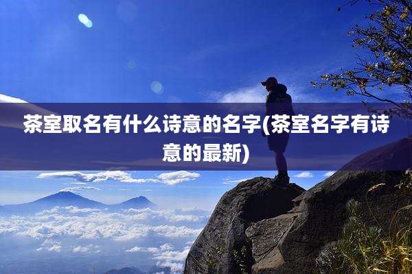 茶室取名有什么诗意的名字(茶室名字有诗意的最新)