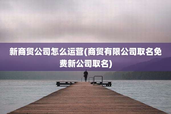 新商贸公司怎么运营(商贸有限公司取名免费新公司取名)