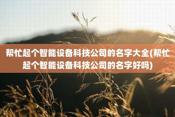 帮忙起个智能设备科技公司的名字大全(帮忙起个智能设备科技公司的名字好吗)