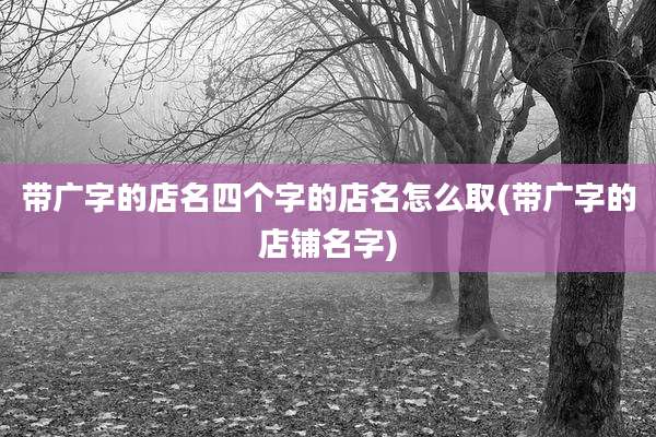 带广字的店名四个字的店名怎么取(带广字的店铺名字)