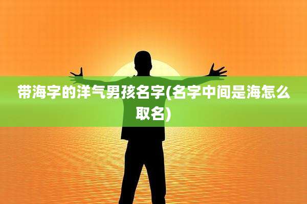 带海字的洋气男孩名字(名字中间是海怎么取名)