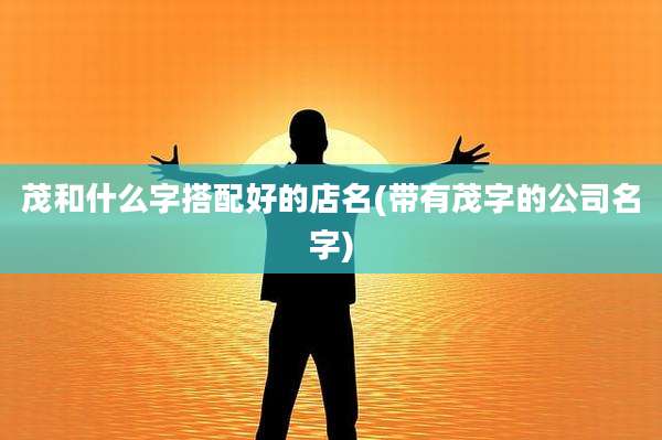 茂和什么字搭配好的店名(带有茂字的公司名字)