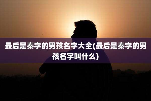 最后是秦字的男孩名字大全(最后是秦字的男孩名字叫什么)