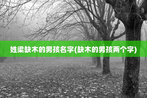 姓梁缺木的男孩名字(缺木的男孩两个字)