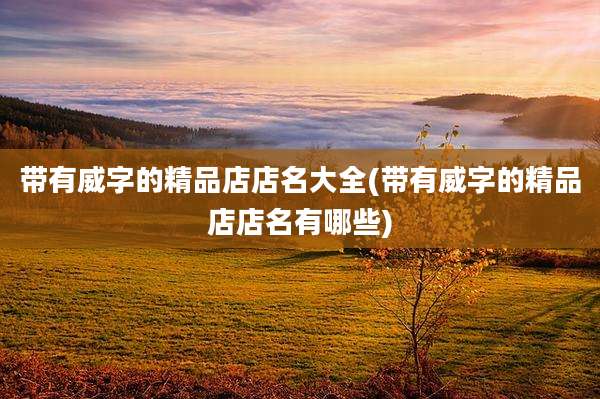 带有威字的精品店店名大全(带有威字的精品店店名有哪些)