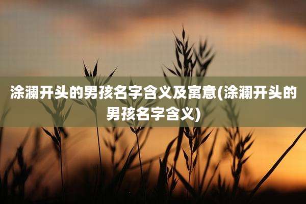 涂澜开头的男孩名字含义及寓意(涂澜开头的男孩名字含义)