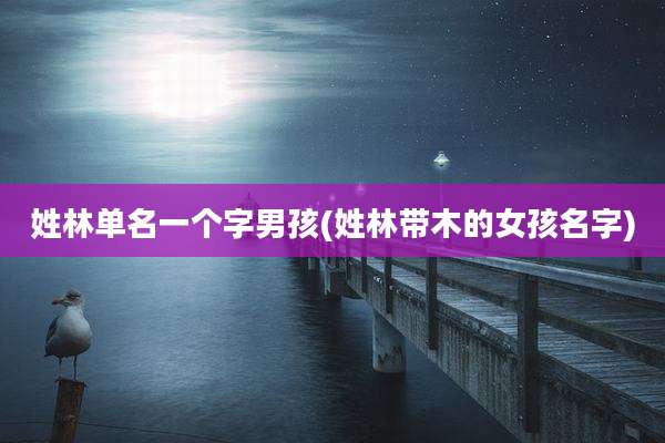 姓林单名一个字男孩(姓林带木的女孩名字)