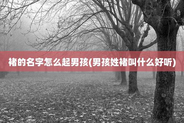 褚的名字怎么起男孩(男孩姓褚叫什么好听)