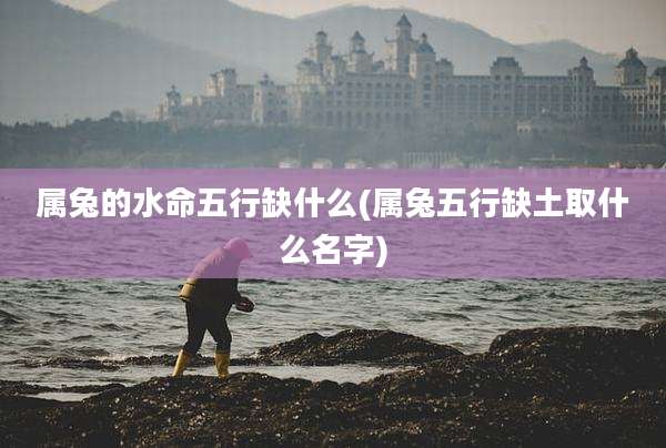 属兔的水命五行缺什么(属兔五行缺土取什么名字)