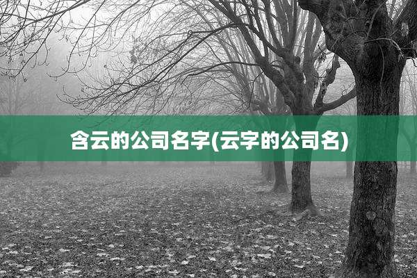 含云的公司名字(云字的公司名)