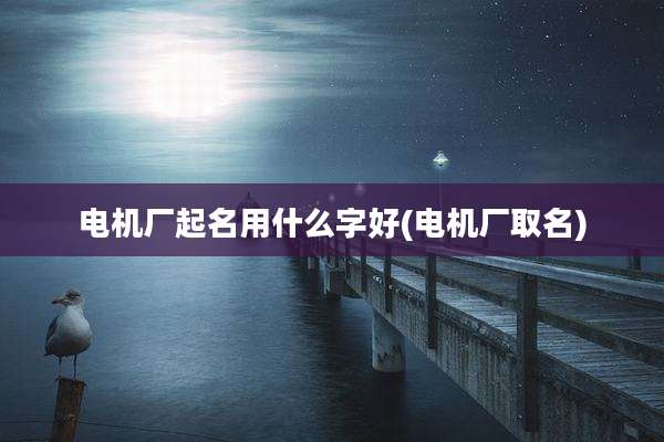 电机厂起名用什么字好(电机厂取名)