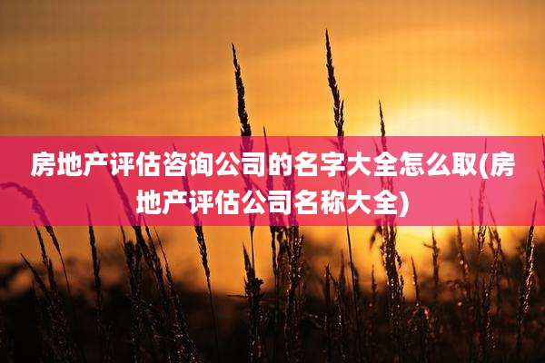 房地产评估咨询公司的名字大全怎么取(房地产评估公司名称大全)