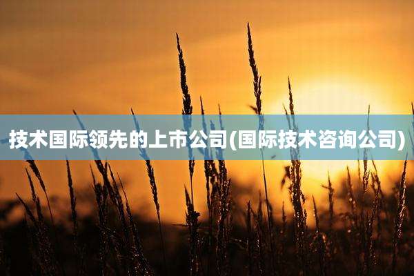 技术国际领先的上市公司(国际技术咨询公司)