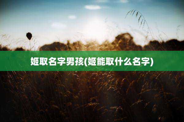 姬取名字男孩(姬能取什么名字)