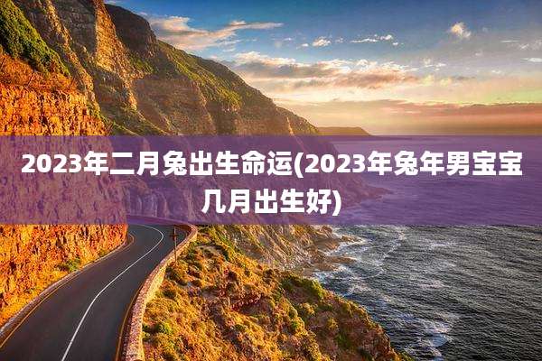 2023年二月兔出生命运(2023年兔年男宝宝几月出生好)