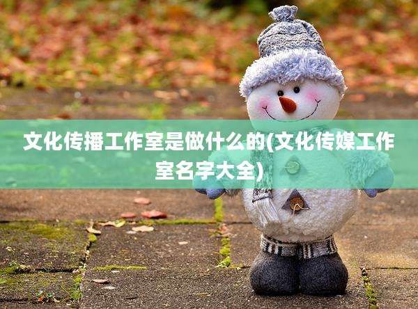 文化传播工作室是做什么的(文化传媒工作室名字大全)