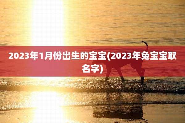 2023年1月份出生的宝宝(2023年兔宝宝取名字)