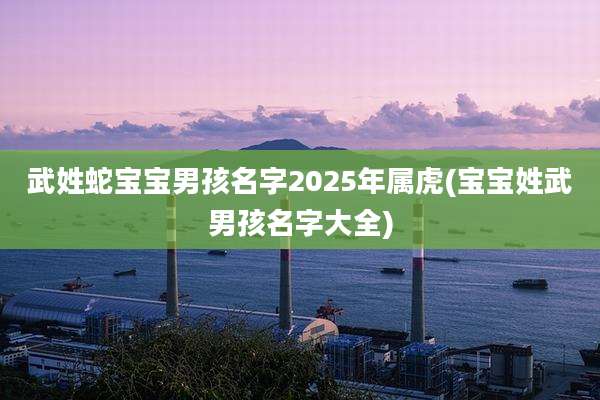 武姓蛇宝宝男孩名字2025年属虎(宝宝姓武男孩名字大全)
