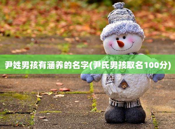 尹姓男孩有涵养的名字(尹氏男孩取名100分)