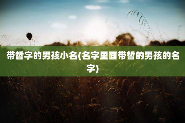 带哲字的男孩小名(名字里面带哲的男孩的名字)