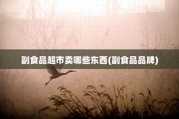 副食品超市卖哪些东西(副食品品牌)