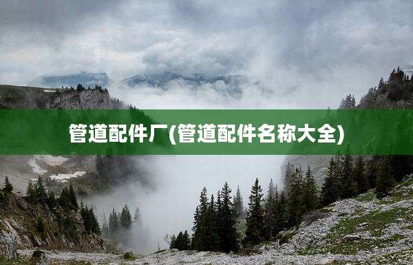 管道配件厂(管道配件名称大全)