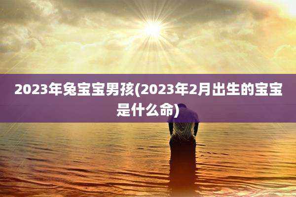 2023年兔宝宝男孩(2023年2月出生的宝宝是什么命)