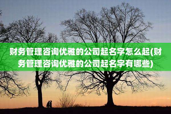 财务管理咨询优雅的公司起名字怎么起(财务管理咨询优雅的公司起名字有哪些)