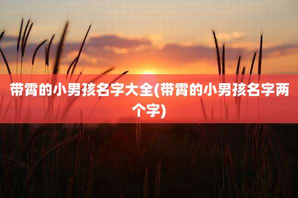 带霄的小男孩名字大全(带霄的小男孩名字两个字)