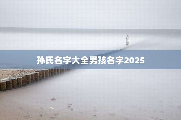 孙氏名字大全男孩名字2025