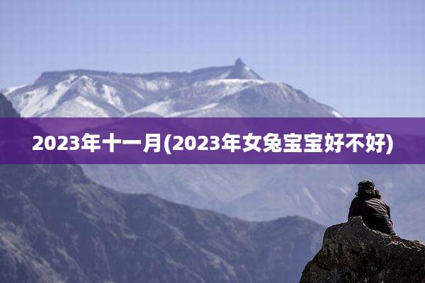 2023年十一月(2023年女兔宝宝好不好)